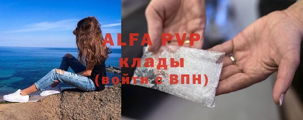 дживик Бородино