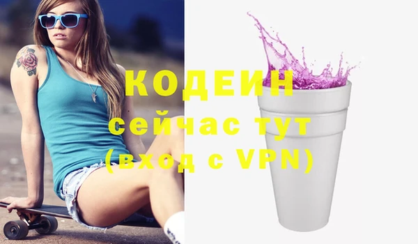 дживик Бородино