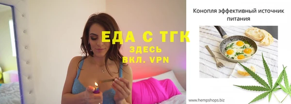 дживик Бородино