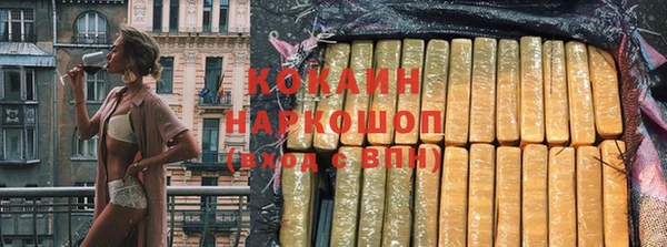 дживик Бородино