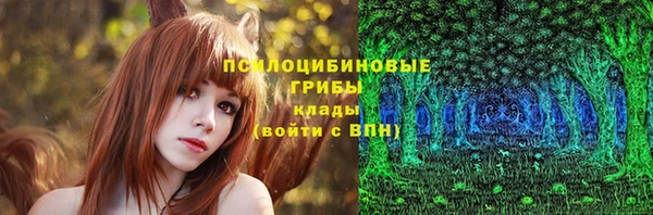 дживик Бородино