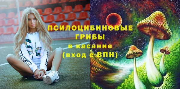 прущие грибы Балабаново