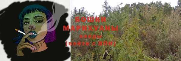 дживик Бородино