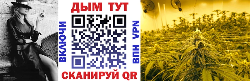 Каннабис планчик Нерюнгри