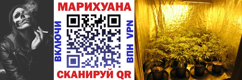 где купить наркотик  Нерюнгри  Бошки марихуана сатива 